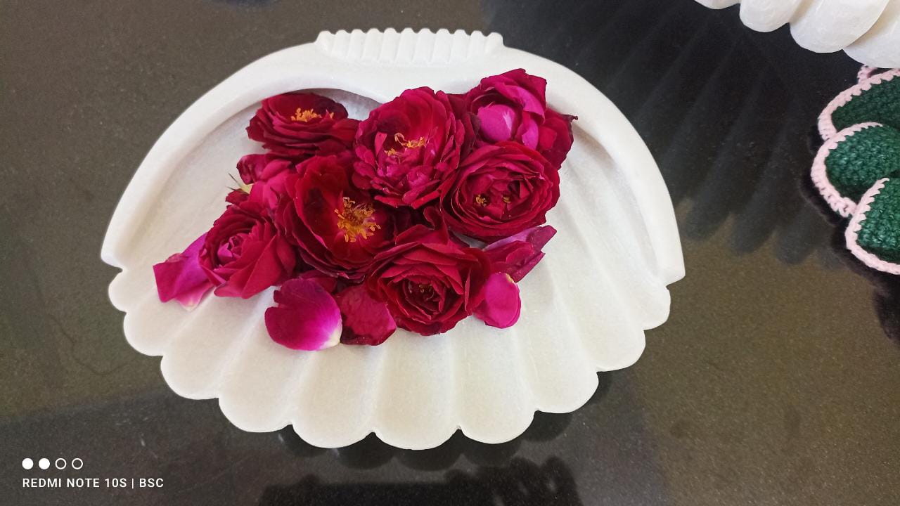 Marble Shell urli Platter/Snacks Platter/Sweet Platter